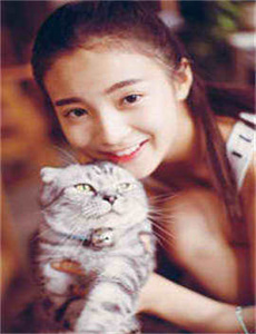 涩里番网污站,久久久线视频