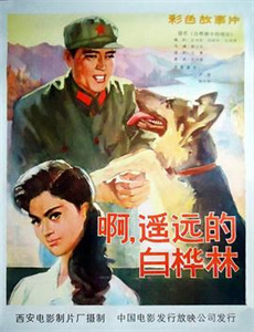 大山里的搏击手