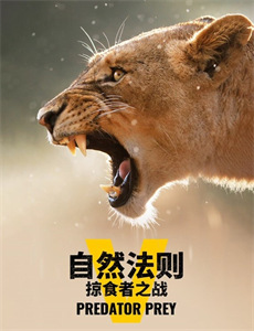 旋风战车队第5季