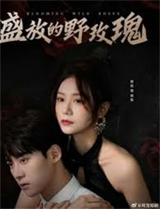 爱尔兰荒野河流